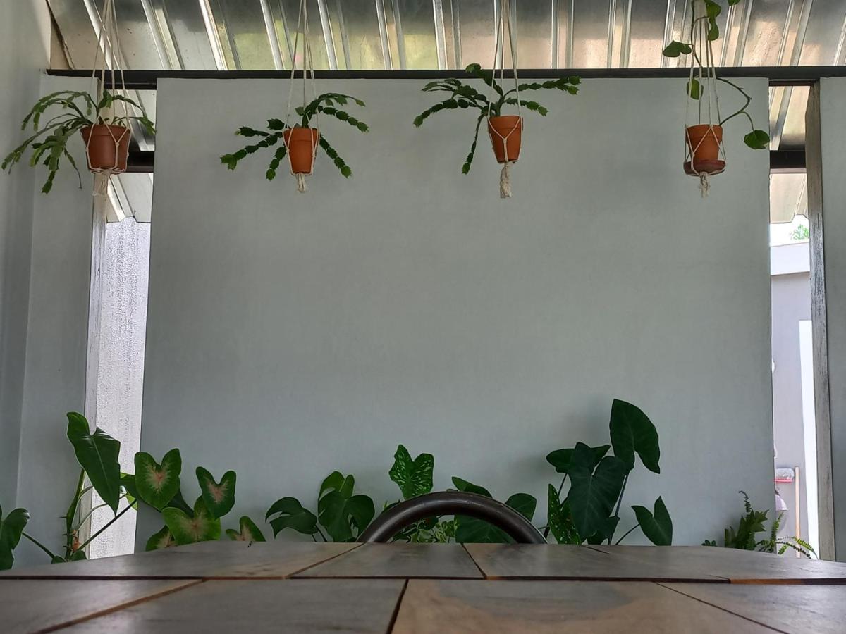 Urban Farm Haus Guesthouse Rundu Exteriér fotografie